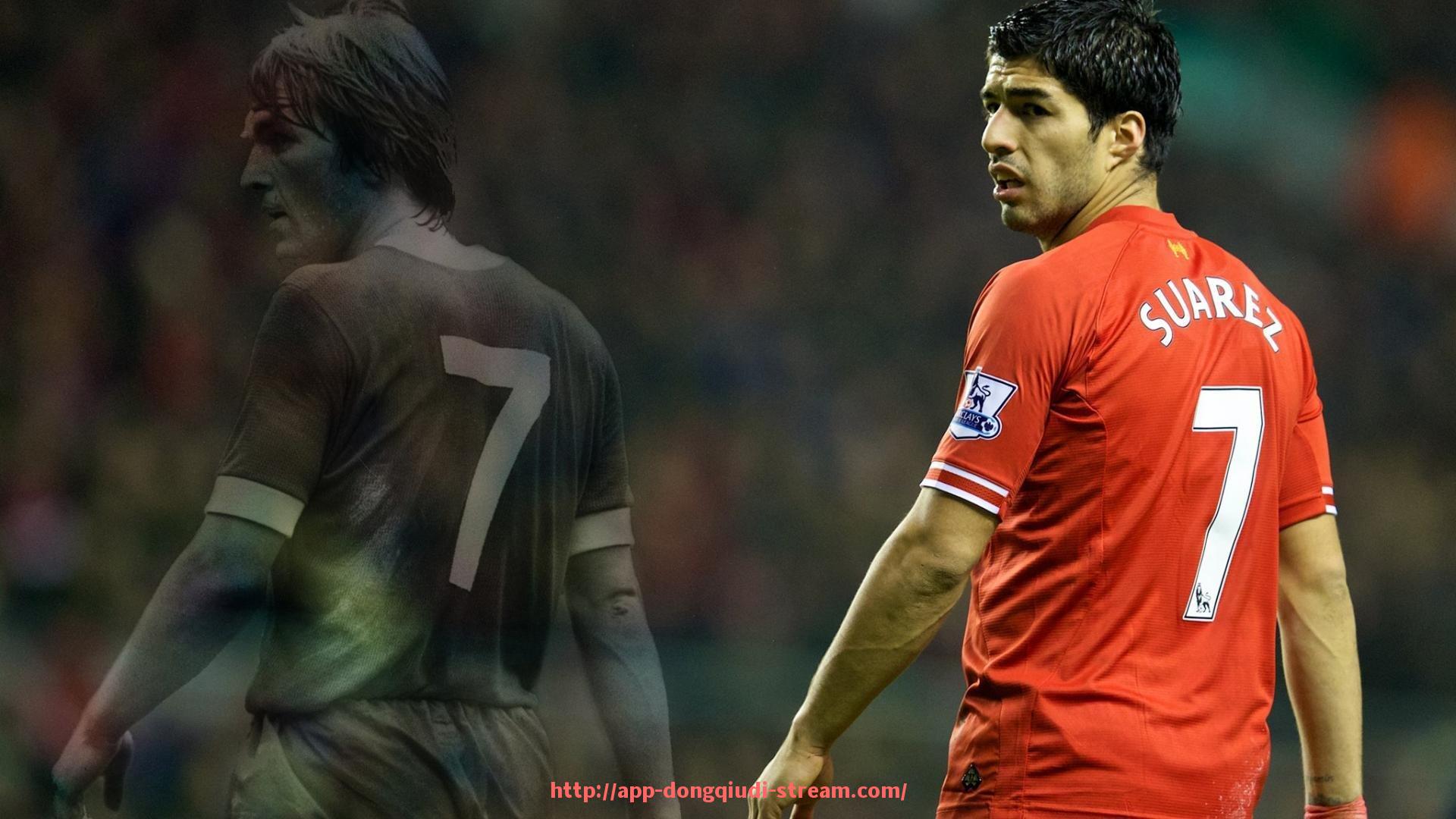 懂球帝直播-健身器材售后方案设计及其保障体育运动设备安全的措施