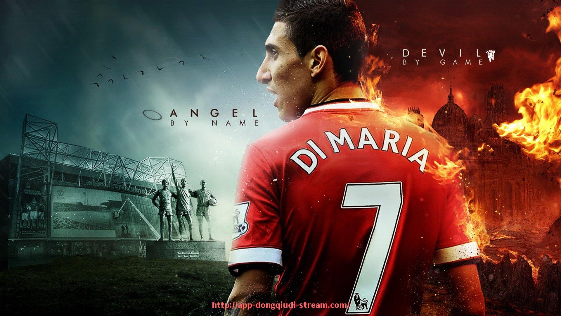 懂球帝直播-如何有效利用健身器材进行日常健身活动？